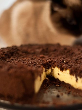 Rezept Foto vom Russischen Zupfkuchen. Das Foto zeigt den angeschnittenen außen braun krümeligen, innen die gold gelb, wie cremige Füllung.