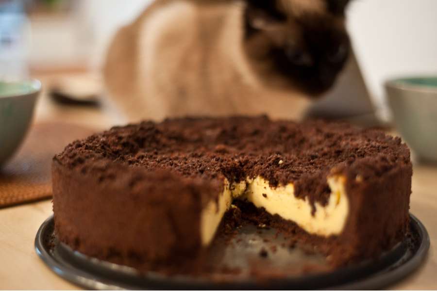 Rezept Foto Russischer Zupfkuchen. Außen kross und innen fluffig und cremig. Der angeschnittene Kuchen riecht herrlich und muss leider noch einen ganzen Tag ruhen, bis er wirklich gut schmeckt.