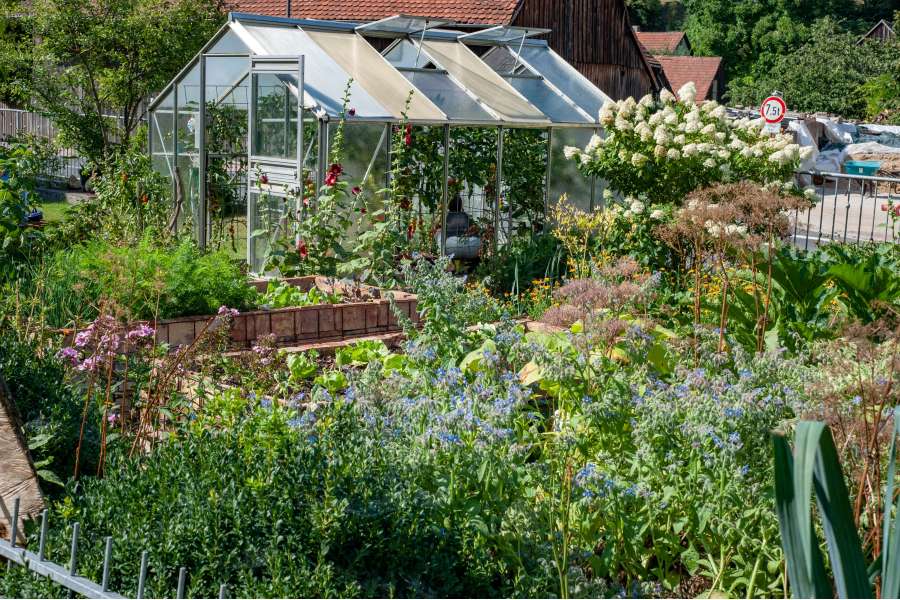 Rezept Foto Kräuter und Garten Pesto. Panorama Foto des Haus Gartens aus dem die ganzen Zutaten für das Kräuter Pesto kommen.